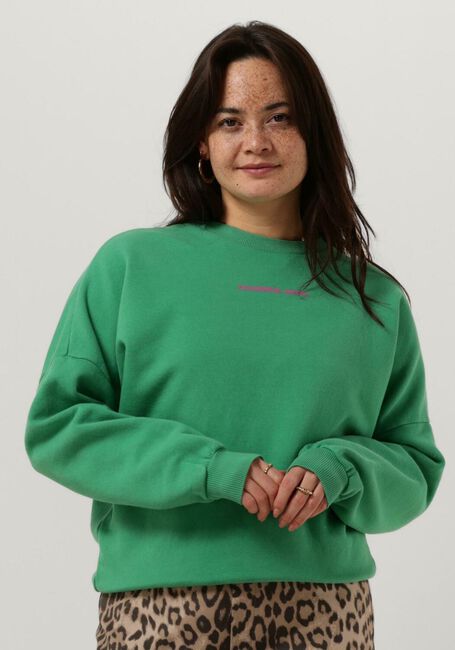 Groene COLOURFUL REBEL Sweater CR BACK LOGO WASH DROPPED SHOULDER SWEAT - large