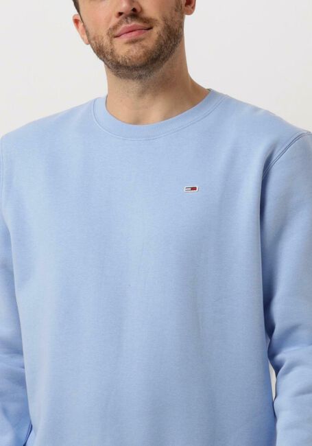 TOMMY JEANS Pull TJM REGULAR FLEECE C NECK en bleu - large
