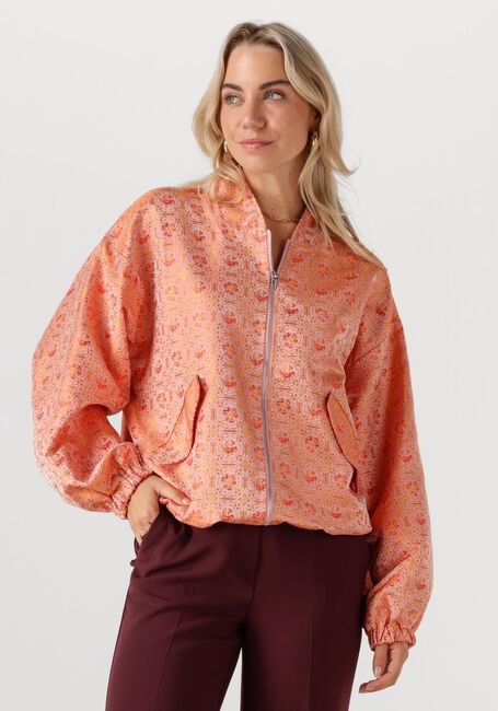 Multi STUDIO AMAYA Jack ALICE - large
