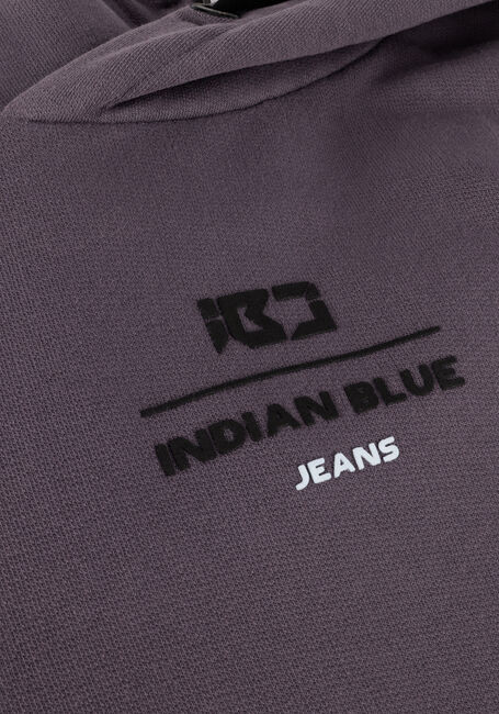 INDIAN BLUE JEANS Pull HOODIE IBJ HOOD en violet - large