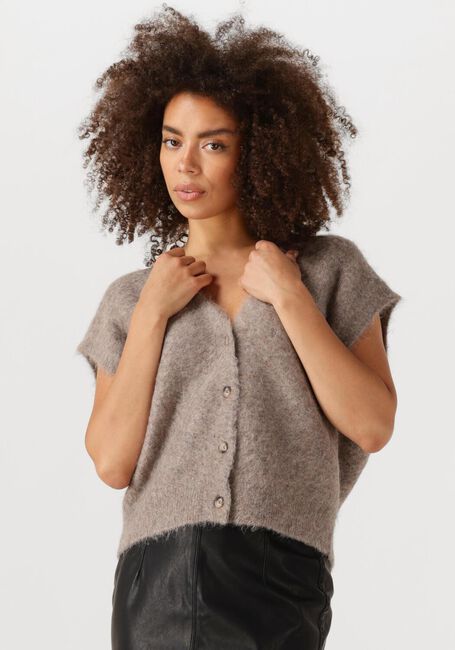 KNIT-TED Spencer CONSTANCE en taupe - large