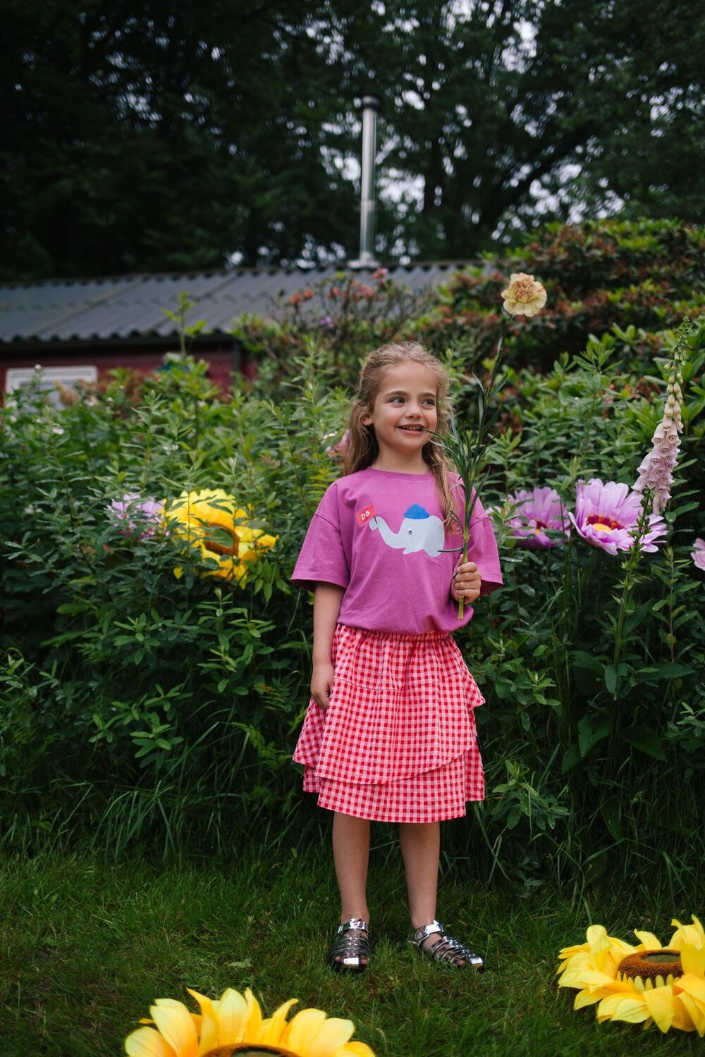 DAILY BRAT T-shirt ELEPHUNK T-SHIRT en violet - large