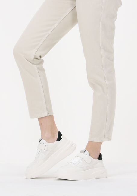 ASH Baskets basses INDY en blanc - large