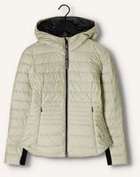 Groene BEAUMONT Gewatteerde jas SPORTY PADDED JACKET Groene BEAUMONT Gewatteerde jas SPORTY PADDED JACKET - medium