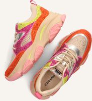 Multi STEVE MADDEN Sneakers JPRIVY Multi STEVE MADDEN Sneakers JPRIVY - medium