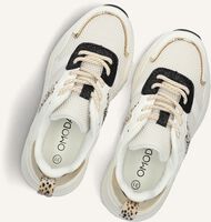 Witte OMODA Sneakers ZOË Witte OMODA Sneakers ZOË - medium