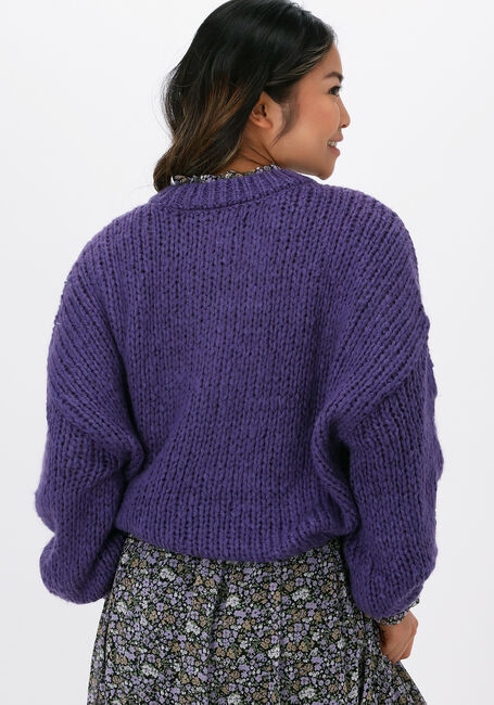 COLOURFUL REBEL Pull OLIVIA CREW NECK SWEATER en violet - large