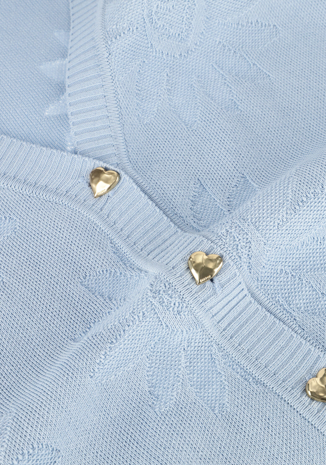 Lichtblauwe FABIENNE CHAPOT Vest MADDY CARDIGAN - large