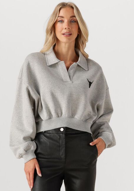 Grijze ALIX THE LABEL Sweater LADIES KNITTED POLO SWEATER - large
