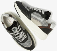 VIA VAI Baskets basses VIC CELIA en noir - medium