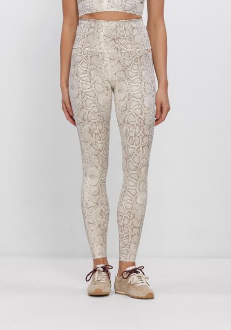 Bruine DEBLON SPORTS Legging CLASSIC LEGGINGS HIGH WAISTBAND 2 - large