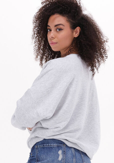 COLOURFUL REBEL Chandail REBEL PATCH DROPPED SHOULDER SWEAT Gris clair - large