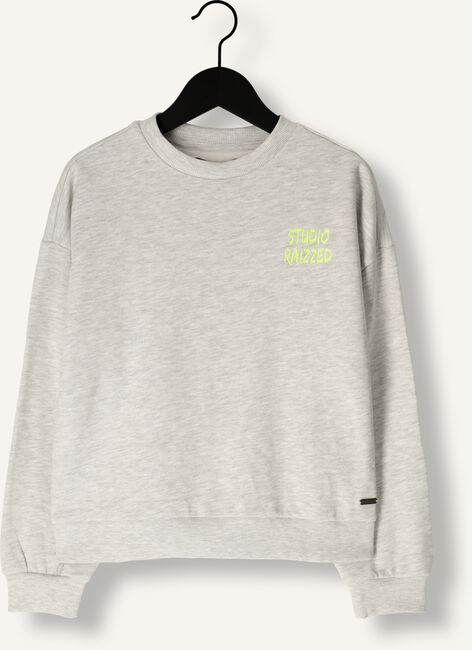 Lichtgrijze RAIZZED Sweater CELA Lichtgrijze RAIZZED Sweater CELA - large