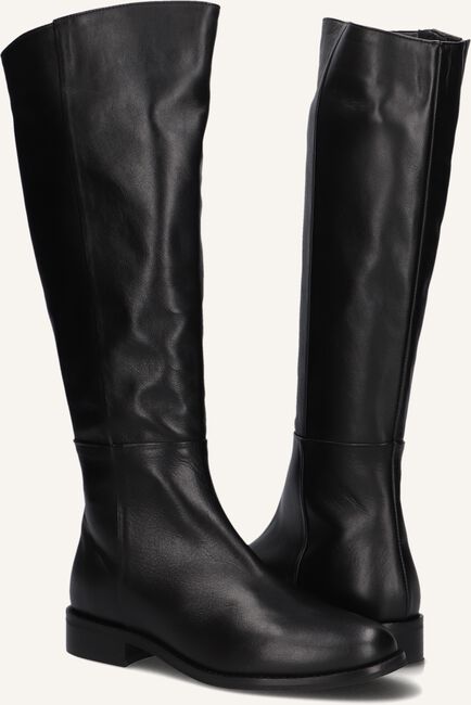 NOTRE-V 3496 NOTRE-V 3496 - large