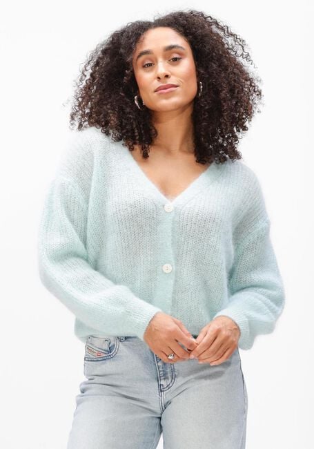 Blauwe TWNS Vest ERIE - large