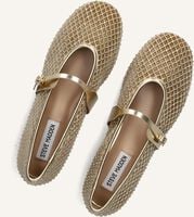 Gouden STEVE MADDEN Ballerina's REJOICE-R Gouden STEVE MADDEN Ballerina's REJOICE-R - medium