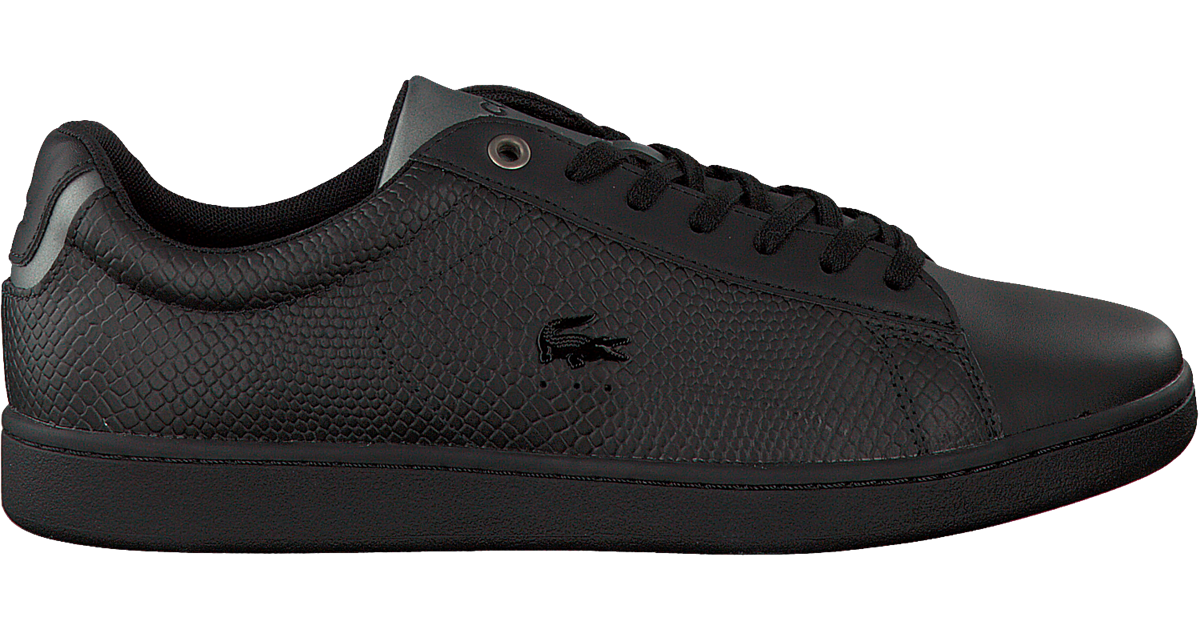 Zwarte LACOSTE Sneakers CARNABY EVO HEREN | Omoda